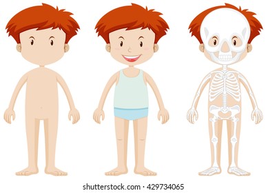 Little boy and skeleton structor illustration