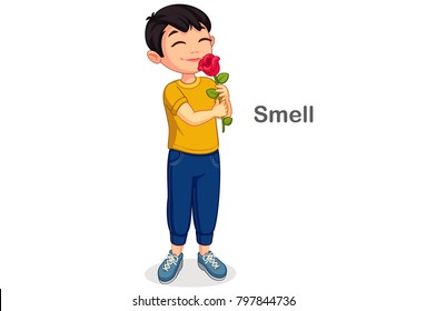 Little Boy Smelling A Flower Showing A Smell Sense