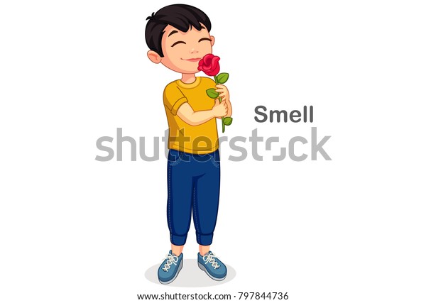 小男孩闻到一朵花表现出一种嗅觉库存矢量图 免版税