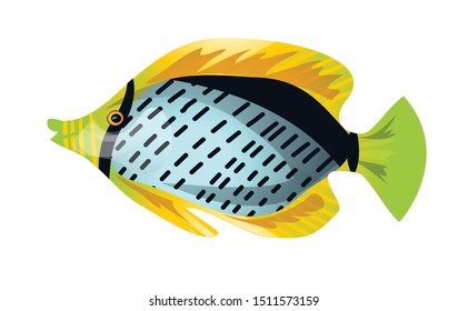 little bright, exotic, tropical fish. Ocean, sea, aquarium. Isolated image. Vector graphics.