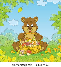 Little brown bear mushroomer friendly smiling and sitting with a big wicker basket full of picked mushrooms on an autumn forest glade, vector cartoon illustration