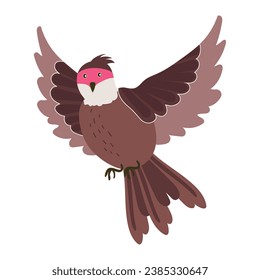 little brown bird flying vector isolated
