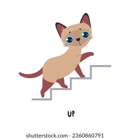 Little Brown Cat Walk Up Stair as English Language Preposition for Educational Activity Vector Illustration