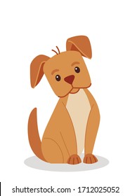 Little brown dog is sitting on a white background. Illustration on the postcard. Cute and simple print.