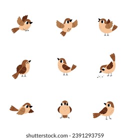 Little Brown Sparrow Bird with Feathers and Beak Vector Set