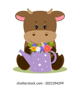 Little bull holds watering can inside which is bouquet of flowers. The bull sniffs flowers. Cartoon cute character. Vector.