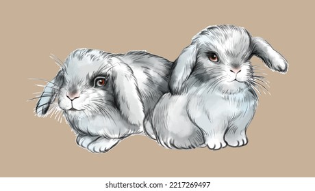 Little bunnies. Handmade watercolor color vector drawing. For vintage scrapbooking and illustrations. Transparent background.