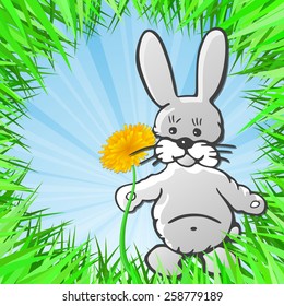 Little Bunny