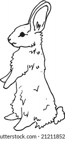 Little bunny vector hand drawn 