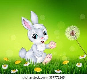 Little bunny walking on grass background
