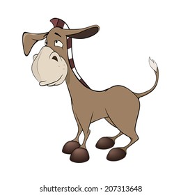 A little burro. Cartoon 