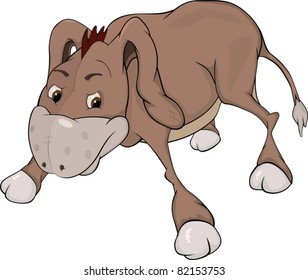 The little burro. Cartoon