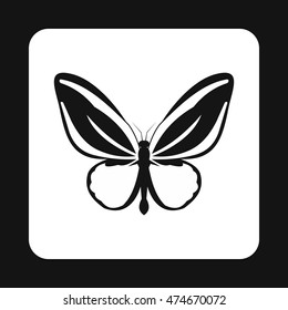 Little butterfly icon in simple style isolated on white background. Fly symbol