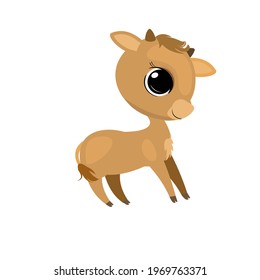 Little calf calf. Cow or bull. Isolated object on a white background. Cheerful kind animal child. Cartoons flat style. Funny. Vector