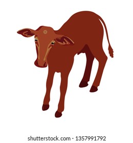 Little calf standing alone. Vector illustration isolated on white background