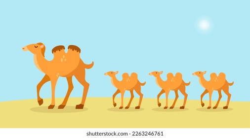Little camels following leader vector illustration. Cartoon animals walking in line in desert. Team leader showing path and supporting workers. Leadership, animal, workplace concept