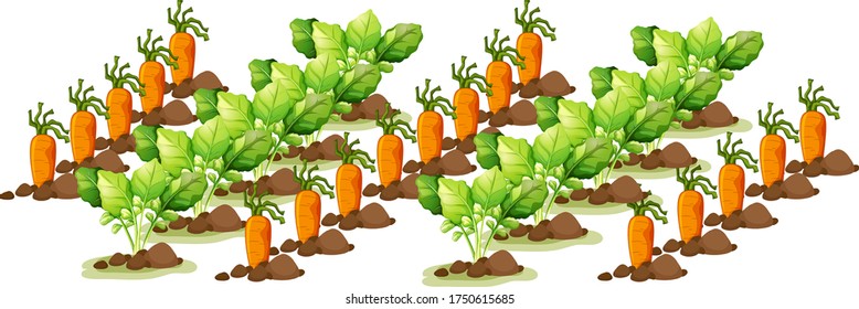 Little carrots in field farm isolated in cartoon style  illustration