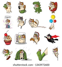 little cartoon cats characters posing in different situations set of vector illustrations