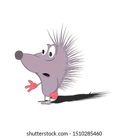 a little cartoon hedgehog is standing and looking bewildered and surprised. Isolated on a white background.