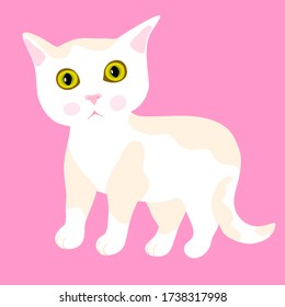 Little cartoon kittten. Pink background. Vector illustration