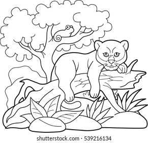 little cartoon panther resting on an old tree