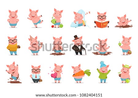Little cartoon pigs characters posing in different situations set of vector illustrations