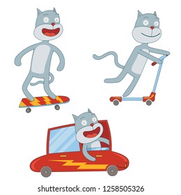 little cat in action