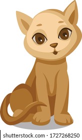 a little cat with cute eyes