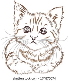 Little cat free hand sketch