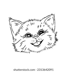 Little cat hand drawn isolated on white background