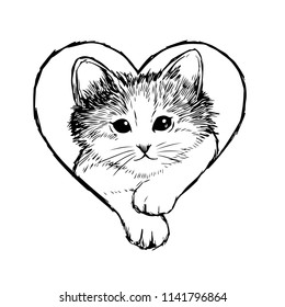 Little cat in heart frame hand drawn isolated on white background