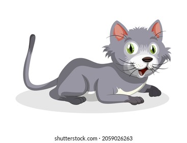 Little cat isolated on white background. Cute kitten