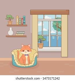 little cat mascot in the house room
