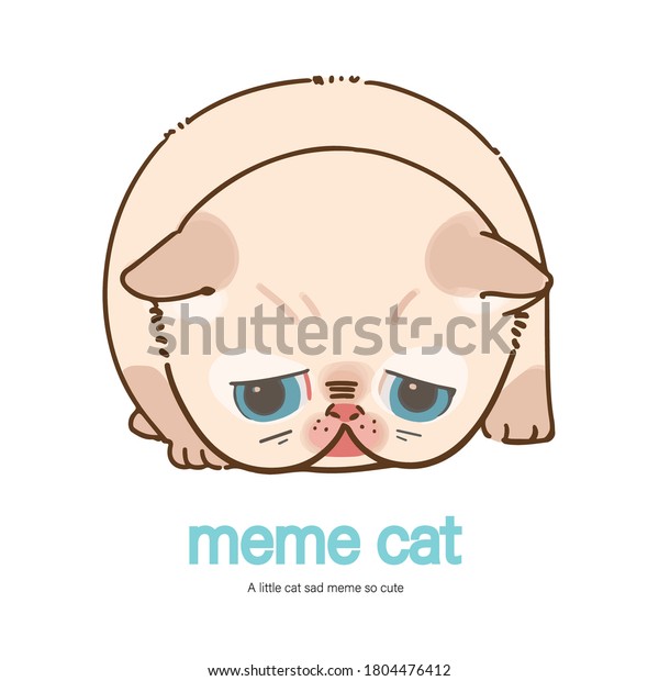 Un Petit Chat Triste Meme Si Image Vectorielle De Stock Libre De Droits