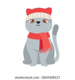 little cat with santa hat