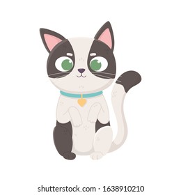 little cat spotted with collar domestic, pets vector illustration