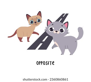 Little Cat Stand Opposite the Road as English Language Preposition for Educational Activity Vector Illustration