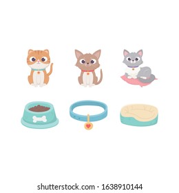 little cats with collar cushion food bowl, pets vector illustration