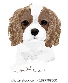 A little cavalier puppy vector art of friendly dog