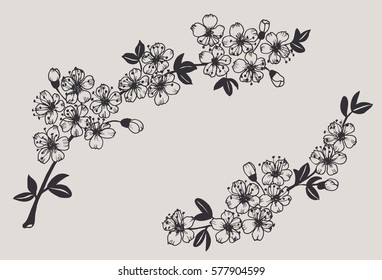 little cherry flowers,hand drawn