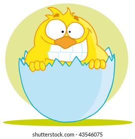 Little chick