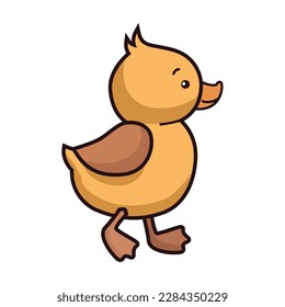 little chick bird baby character