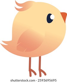 Little Chick Bird Vector Illustration