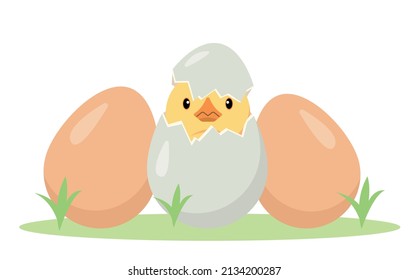 Little chick in cracked egg and whole chicken eggs. Newborn cute chicken baby, small bird hatching from egg. Farm or Easter concept vector illustration isolated on white background.