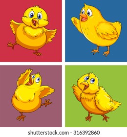 Little chick in four squares illustration