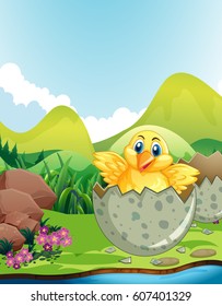 Little chick hatching egg illustration
