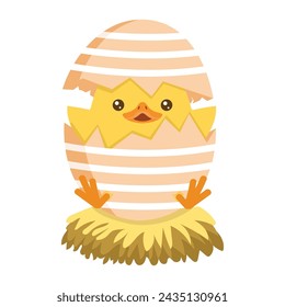 Little Chick Hatching Out The Egg easter