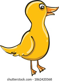 Little chick, illustration, vector on white background.