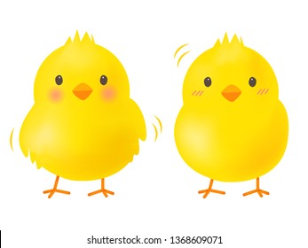 Little chick isolate on white background : Vector Illustration