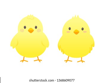 Little chick isolate on white background : Vector Illustration